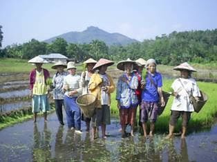 Para petani perempuan sedang bercengkrama di sawah/ Foto via pecidasase