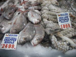 Ilustrasi ikan impor