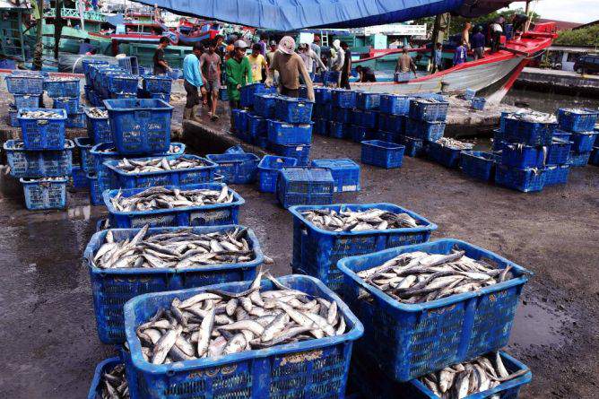 Pengusaha ikan ekspor/Foto Istimewa