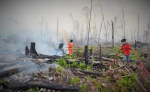 Kebakaran Lahan di Kampar/Foto nusantaranews (Istimewa)