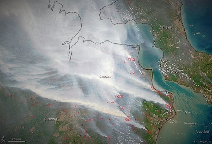 Peta Kebakaran Hutan Indonesia/Foto via mongabay