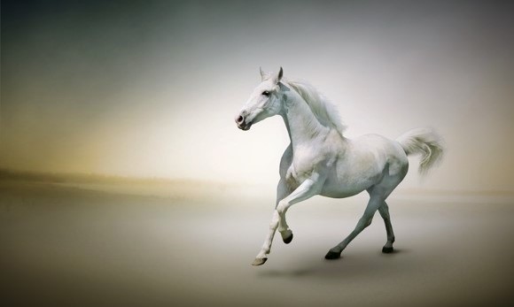 Kuda Putih/Foto nusantaranews via Seni Rupa