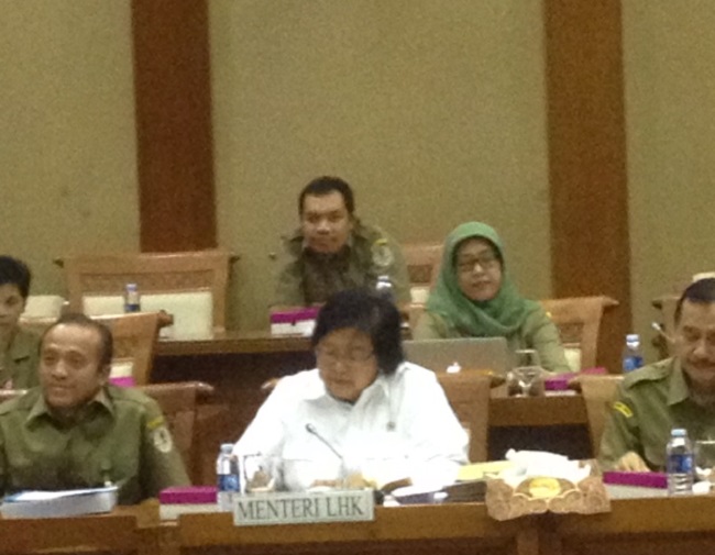 Menteri Lingkungan Hidup dan Kehutanan (MenLHK) Siti Nurbaya/Foto: Nusantaranews.co