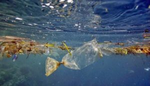 Indonesia-Selandia Baru Perangi Sampah Plastik Laut