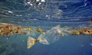 Sampah Plastik di Laut. Foto Ilustrasi/ist