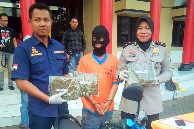 Hendak Jual Ganja Kering, Residivis Kambuhan Dibekuk Polisi Surabaya/Foto Three