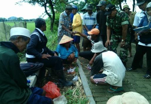 Pendampingan Pok Tani Perangi Hama Wereng. Foto Sis/Nusantaranews