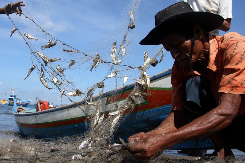 Seorang nelayan tampak sedang memungut ikan hasil tangkapannya. Foto via nasionalisme/ilustrasi