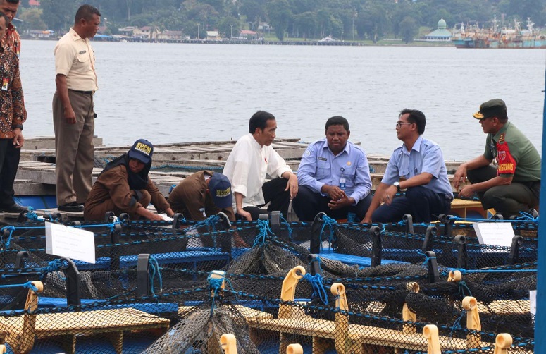 Presiden Joko Widodo dalam atu rangkaian kegiatan kunjungan kerjanya di Ambon/Foto: Dok. Istimewa