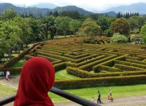 Menikmati Indahnya Warna Warni Bunga di Taman Bunga Nusantara