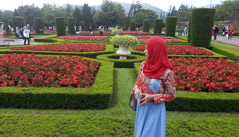 Menikmati Indahnya Warna Warni Bunga Di Taman Bunga Nusantara