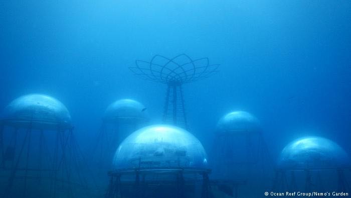Rumah Kaca bawah laut, Taman Nemo, milik Sergio Gamberini