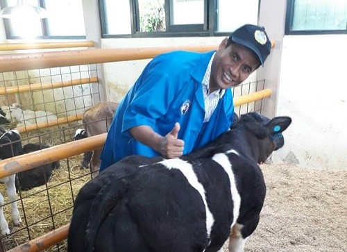Mentan Andi Amran Sulaiman bersama sapi Belgian Blue. Foto: Dok. Humas Kementan