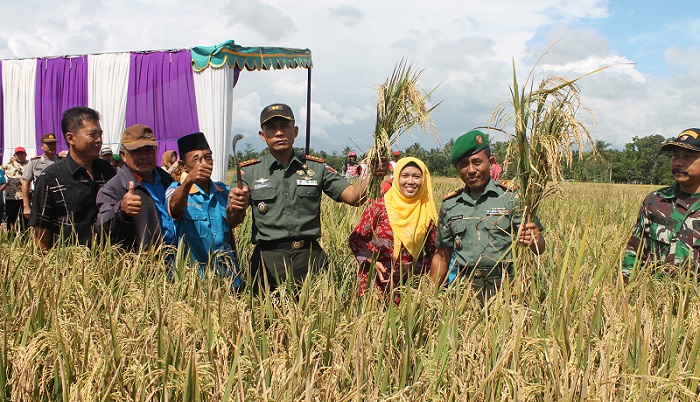 Prajurit TNI dari Kodim 0824 Jember berpose menjelang panen padi di sawah bersama petani. Foto Sis24/ NusantaraNews.co