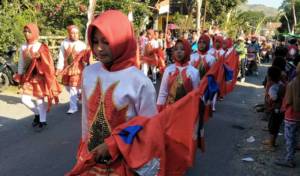 Bupati Lepas Karnaval 72 Tahun Kemerdekaan Indonesia. Foto Dim,07