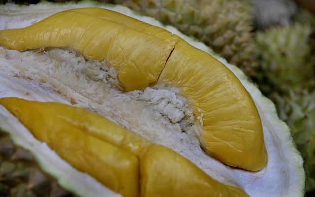 Unduh 62 Koleksi Gambar Durian Dan Manfaatnya Terbaru Gratis HD