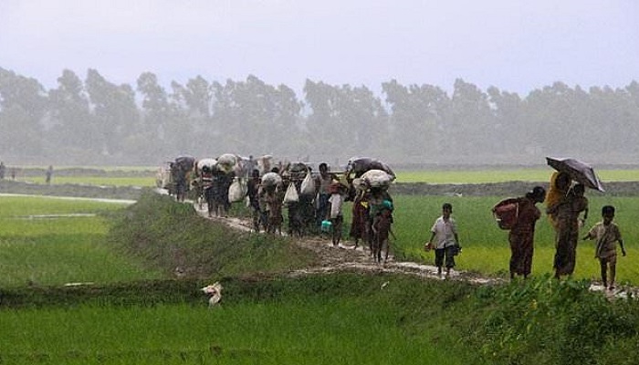 Para pengungsi Rohingya melarikan diri di tengah kekerasan di Rakhine yang semakin memuncak. Sekitar 100.000 orang telah melarikan diri dari tanah kelahirannya di Rakhine. (Foto: AFP)