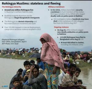 Muslim Rohingya: tanpa kewarganegaraan dan melarikan diri. (Foto: Dok. AFP)