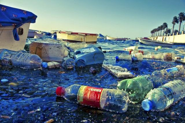 Sampah di Laut/Foto via inovasee/Nusantaranews