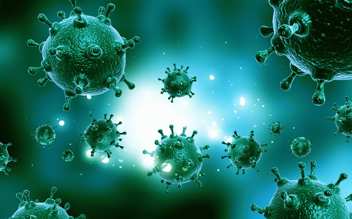 Virus Influenza. Foto: Dok. BioTecNika