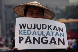 Kenapa Indonesia Sulit Kembali Berswasembada Pangan?