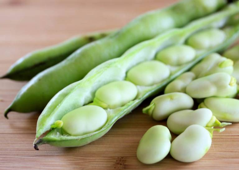 Sayur Buncis Mengenal Kandungan Dan Manfaatnya