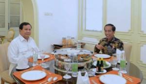 Fadli Zon Nilai Wajar Elektabilitas Jokowi di Atas Prabowo