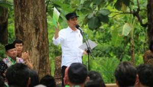Mengenang Janji Manis Jokowi di Bidang Pertanian dan Pangan