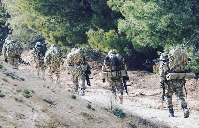 Pasukan Bersenjata Turki (TSK) dan milisi sekutu