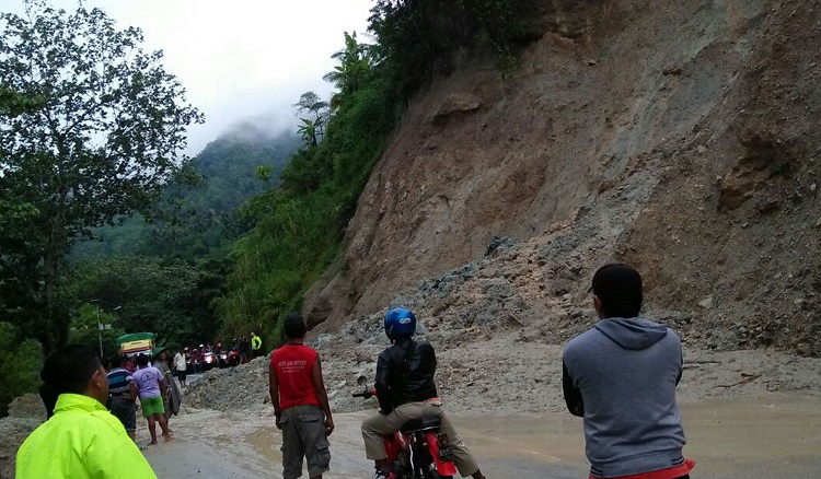 Longsor Pacitan akibat hujan deras pada Selasa 9 Januari 2018. (Foto Istimewa/Nusantaranews)