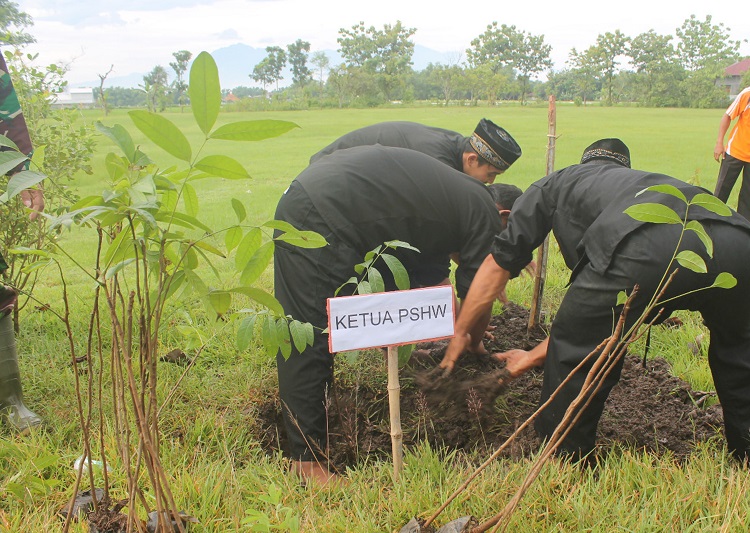 Program Hijaukan Jalur Nganjuk-Bojonegoro untuk kurang emisi karbon (Foto Istimewa/Nusantaranews)