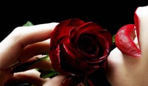 Kamu, Cinta, dan Mawar telah Pergi