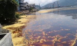 Pemerintah Diminta Jangan Diam Insiden Dugaan Minyak Tumpah di Kepulauan Seribu