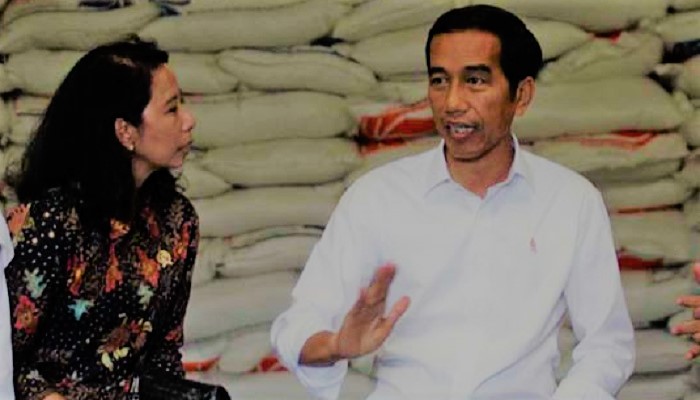 Membedah Kinerja Jokowi Mengurus BUMN. (FOTO: NUSANTARANEWS.CO/Istimewa)