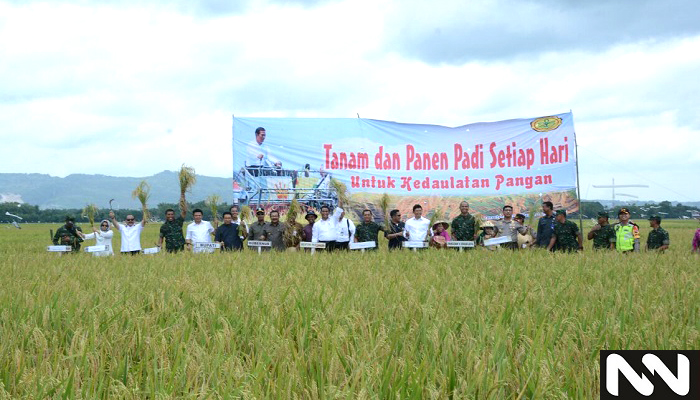 Panen raya padi di lahan pertanian di Bojonegoro, JAwa Timur tahun 2018. (Foto: Dok. NUSANTARANEWS.CO)