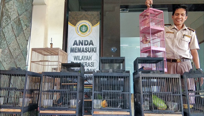 Balai Besar Karantina (BBKP) Pertanian Surabaya mengamankan 154 burung dari Kalteng yang akan diselundupkan masuk ke Jatim, Selasa (28/8/2018). (Foto: NUSANTARANEWS.CO/Setya N)