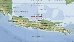 Lahan Habis untuk Infrastruktur, Pertanian di Pulau Jawa Semakin Terancam