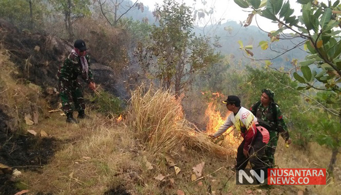Kebakaran Hutan (Foto: Nurcholis/Nusantaranews)Kebakaran Hutan (Foto: Nurcholis/Nusantaranews)