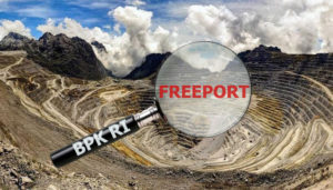 Kementerian LHK Sudah Lakukan Rapat Untuk Menjawab Kerusakan Lingkungan Oleh Freeport