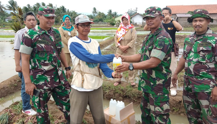 Seorang Anggota TNI Sosialisasikan Pupuk Wijayakusuma Kepada Petani (Foto Istimewa)