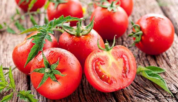 Mengenal Kandungan dan Manfaat Tomat (Foto Istimewa)