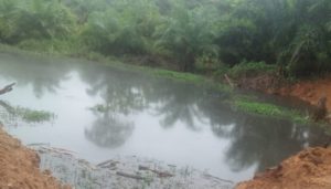 Masyarakat Keluhkan Limbah Pabrik CPO PT NSM yang Cemari Sungai