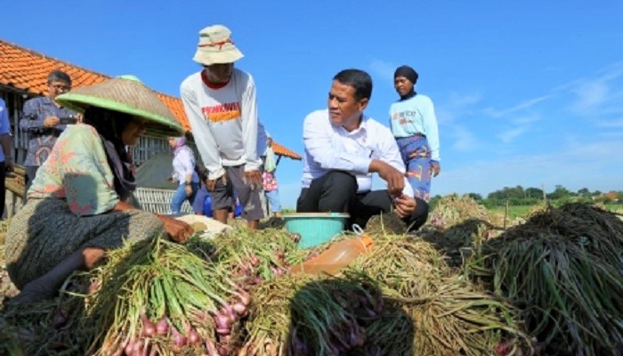 Mentan Amran Sulaiman bersama petani bawang merah di Brebes, Jawa Tengah. (FOTO: Istimewa)