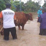 Bantu Korban Banjir Jatim, BMH Dirikan Posko Bantuan