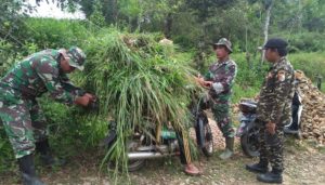 Seorang Petani Kabur Terbirit-birit Usai Diteriaki Anggota TNI