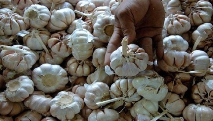 pemerintah lamban dalam mengatasi krisis bawang putih di Indonesia