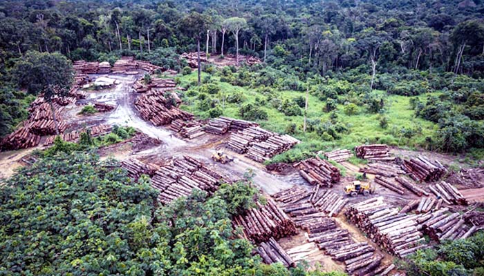 Keterlibatan Presiden Brazil Dalam Penghancuran Amazon