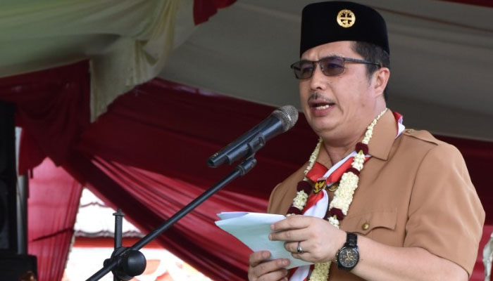 Sekretaris Komisi Pengabdian Masyarakat Kwarnas Gerakan Pramuka Laliansa Irawan. (Foto Istimewa Untuk NUSANTARANEWS.CO)