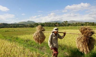 Kebijakan WTO Disebut Merusak Kedaulatan Petani Kecil (Foto oleh Heavy Rains)