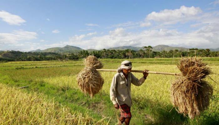 Kebijakan WTO Disebut Merusak Kedaulatan Petani Kecil (Foto oleh Heavy Rains)